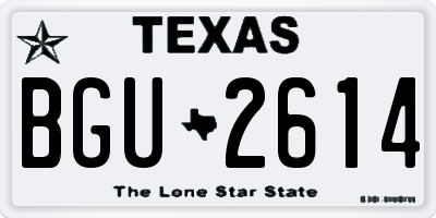 TX license plate BGU2614