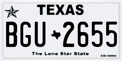 TX license plate BGU2655