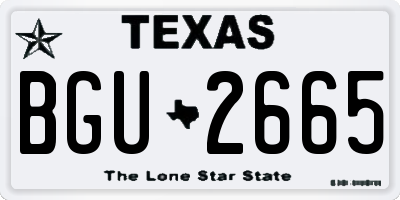 TX license plate BGU2665