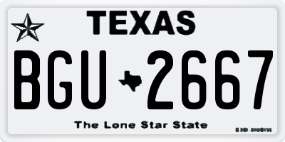 TX license plate BGU2667