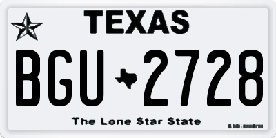 TX license plate BGU2728