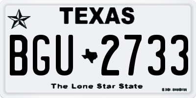 TX license plate BGU2733