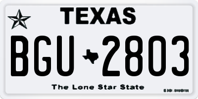 TX license plate BGU2803