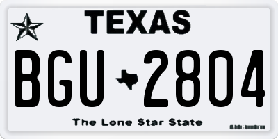 TX license plate BGU2804
