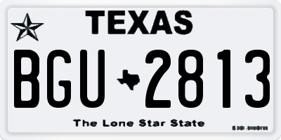 TX license plate BGU2813