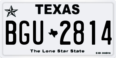TX license plate BGU2814