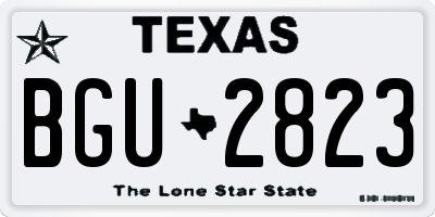 TX license plate BGU2823