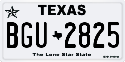 TX license plate BGU2825