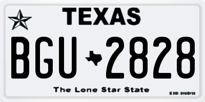 TX license plate BGU2828