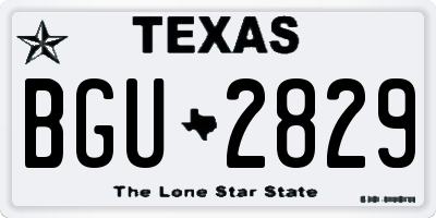 TX license plate BGU2829