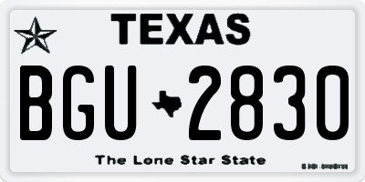 TX license plate BGU2830