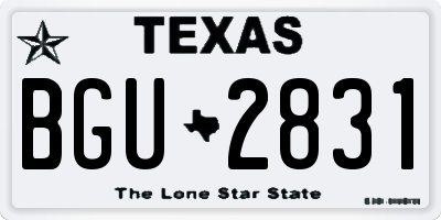 TX license plate BGU2831