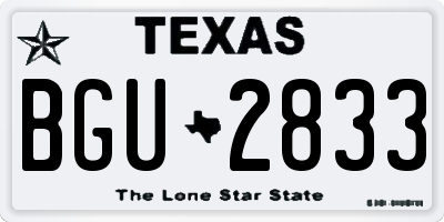 TX license plate BGU2833