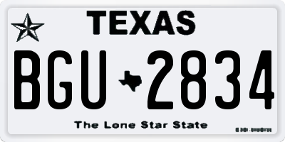 TX license plate BGU2834
