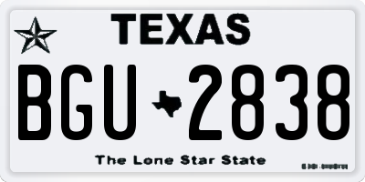 TX license plate BGU2838