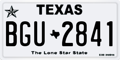 TX license plate BGU2841