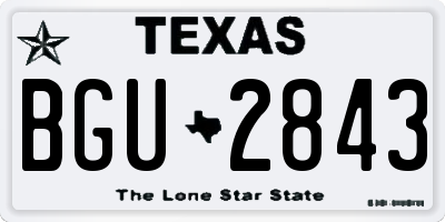 TX license plate BGU2843