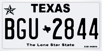 TX license plate BGU2844