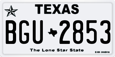 TX license plate BGU2853