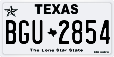 TX license plate BGU2854