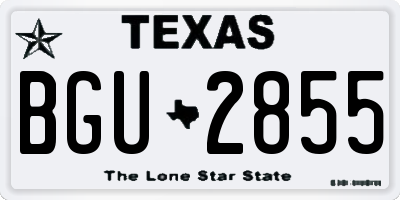 TX license plate BGU2855