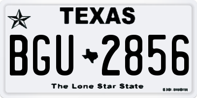 TX license plate BGU2856