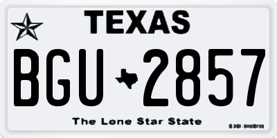 TX license plate BGU2857