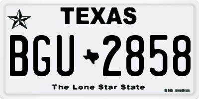 TX license plate BGU2858