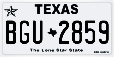 TX license plate BGU2859
