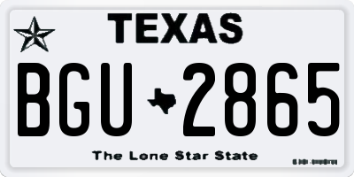 TX license plate BGU2865