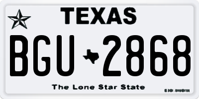 TX license plate BGU2868