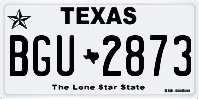 TX license plate BGU2873
