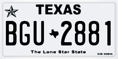 TX license plate BGU2881