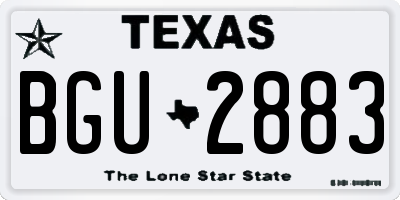TX license plate BGU2883