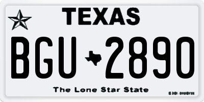 TX license plate BGU2890
