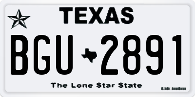 TX license plate BGU2891