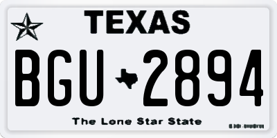 TX license plate BGU2894
