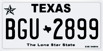 TX license plate BGU2899