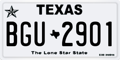 TX license plate BGU2901