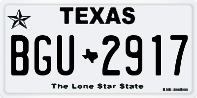TX license plate BGU2917