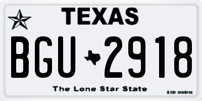 TX license plate BGU2918