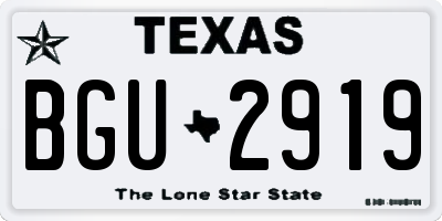 TX license plate BGU2919
