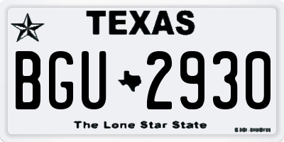 TX license plate BGU2930