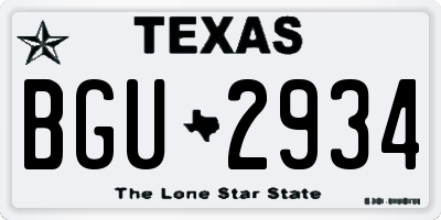 TX license plate BGU2934