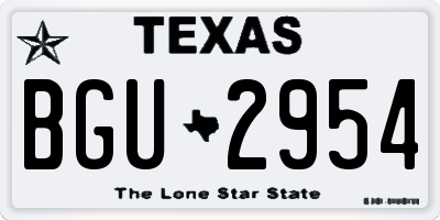 TX license plate BGU2954