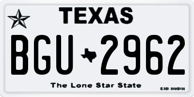 TX license plate BGU2962