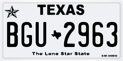 TX license plate BGU2963
