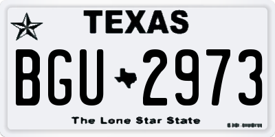 TX license plate BGU2973
