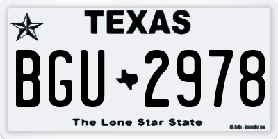 TX license plate BGU2978