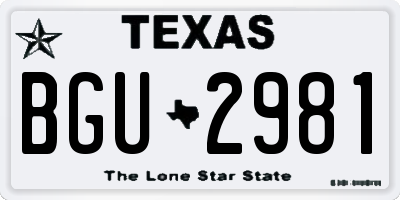 TX license plate BGU2981